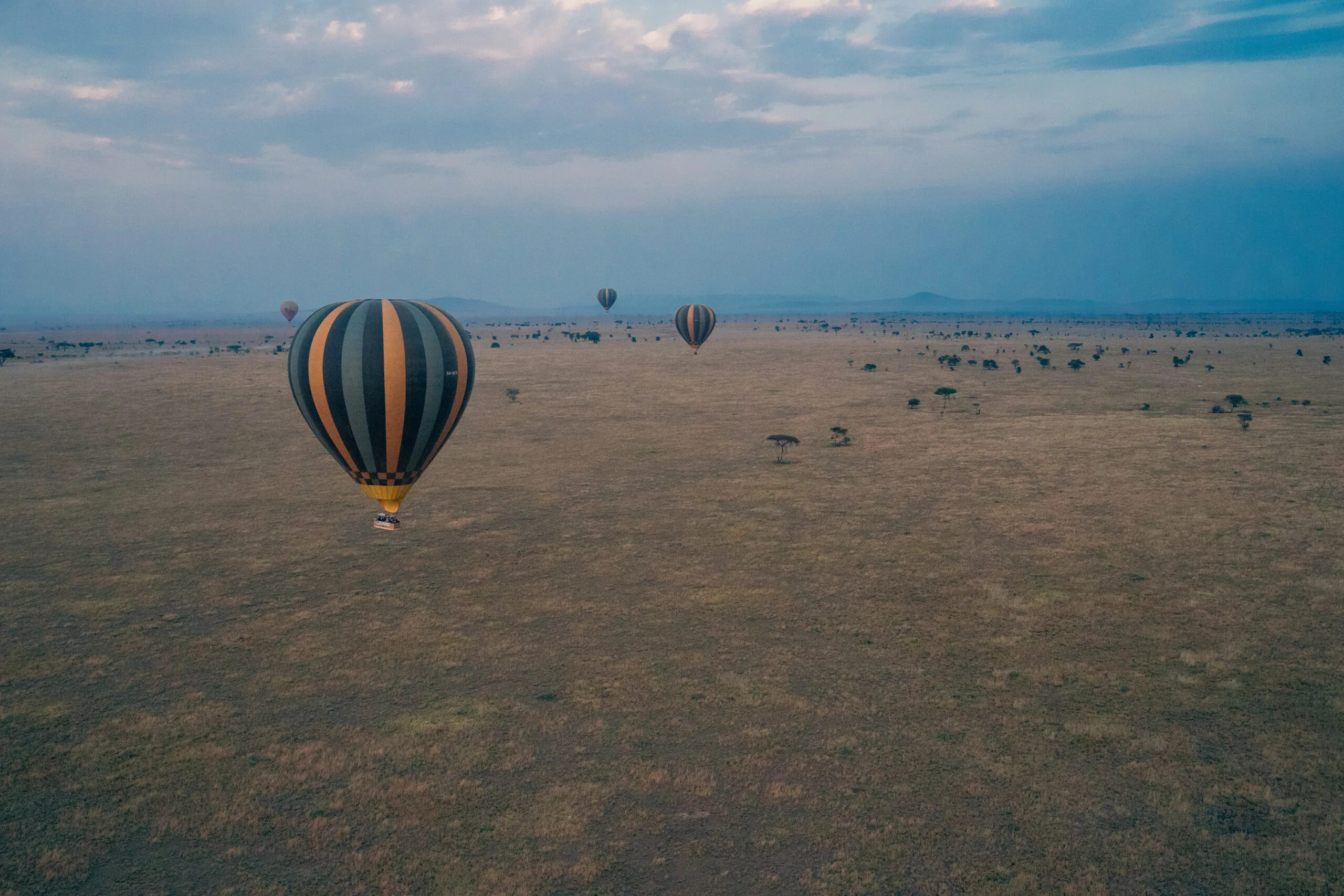 Luchtballonnen boven de vlakten van de Serengeti